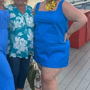 Blue tuckernuck mini dress